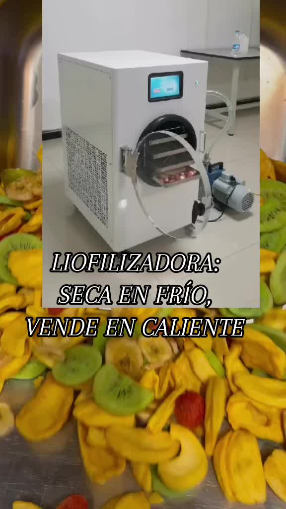 @Lopez International