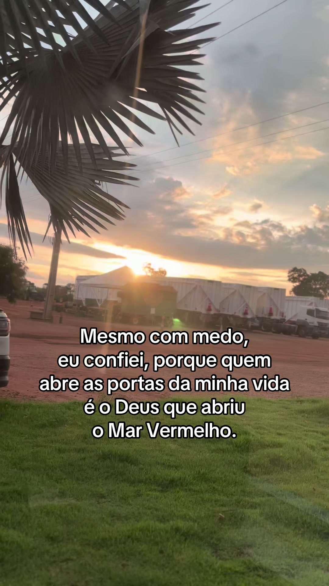 @Pamela Nascimento