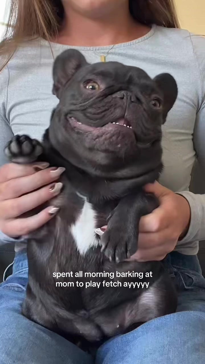 @Mabel the Frenchie