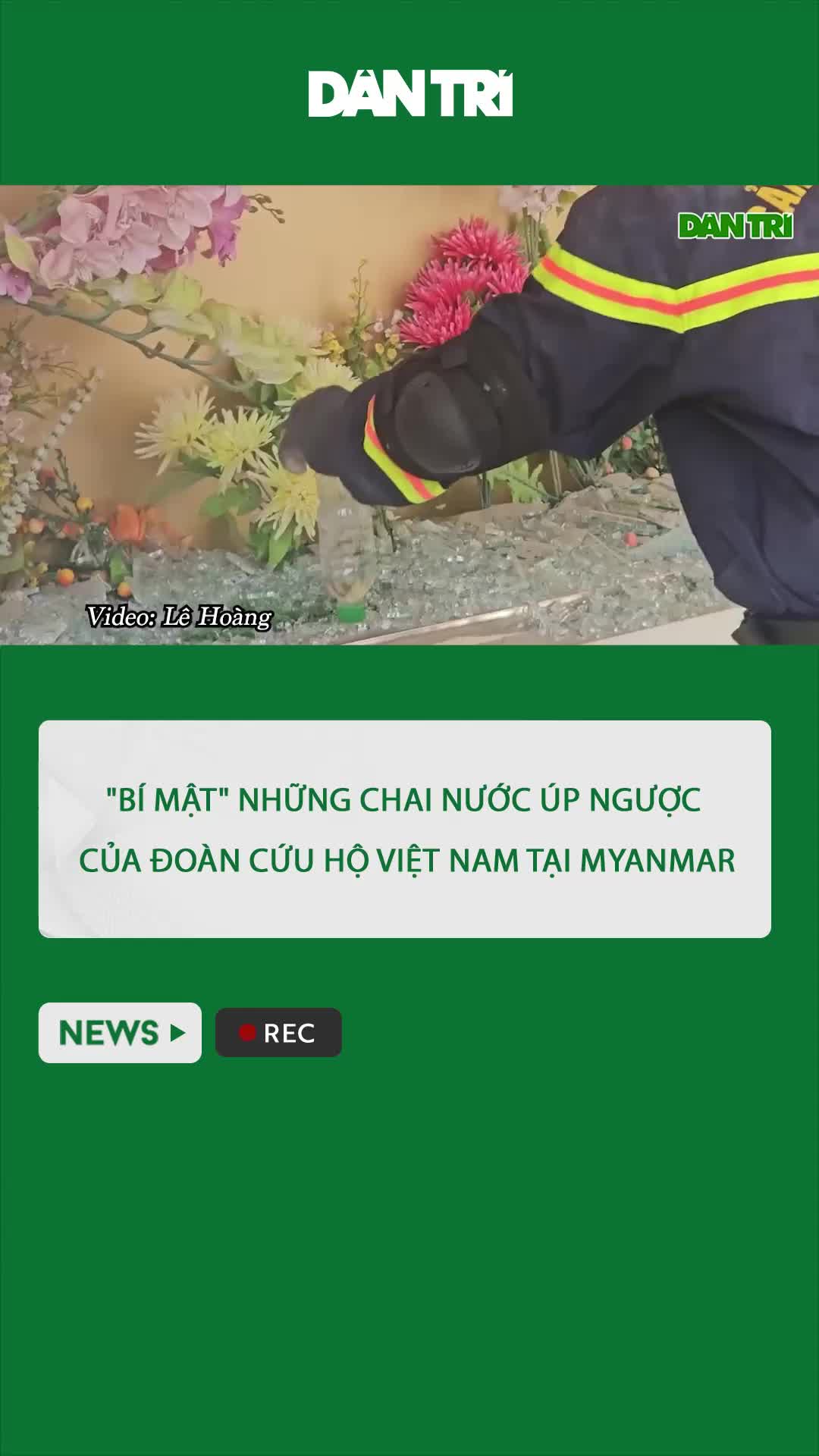 @D&acirc;n Tr&iacute;