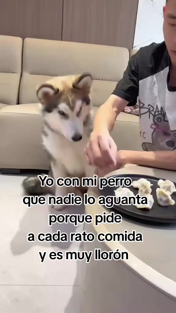 @JSantiago💛