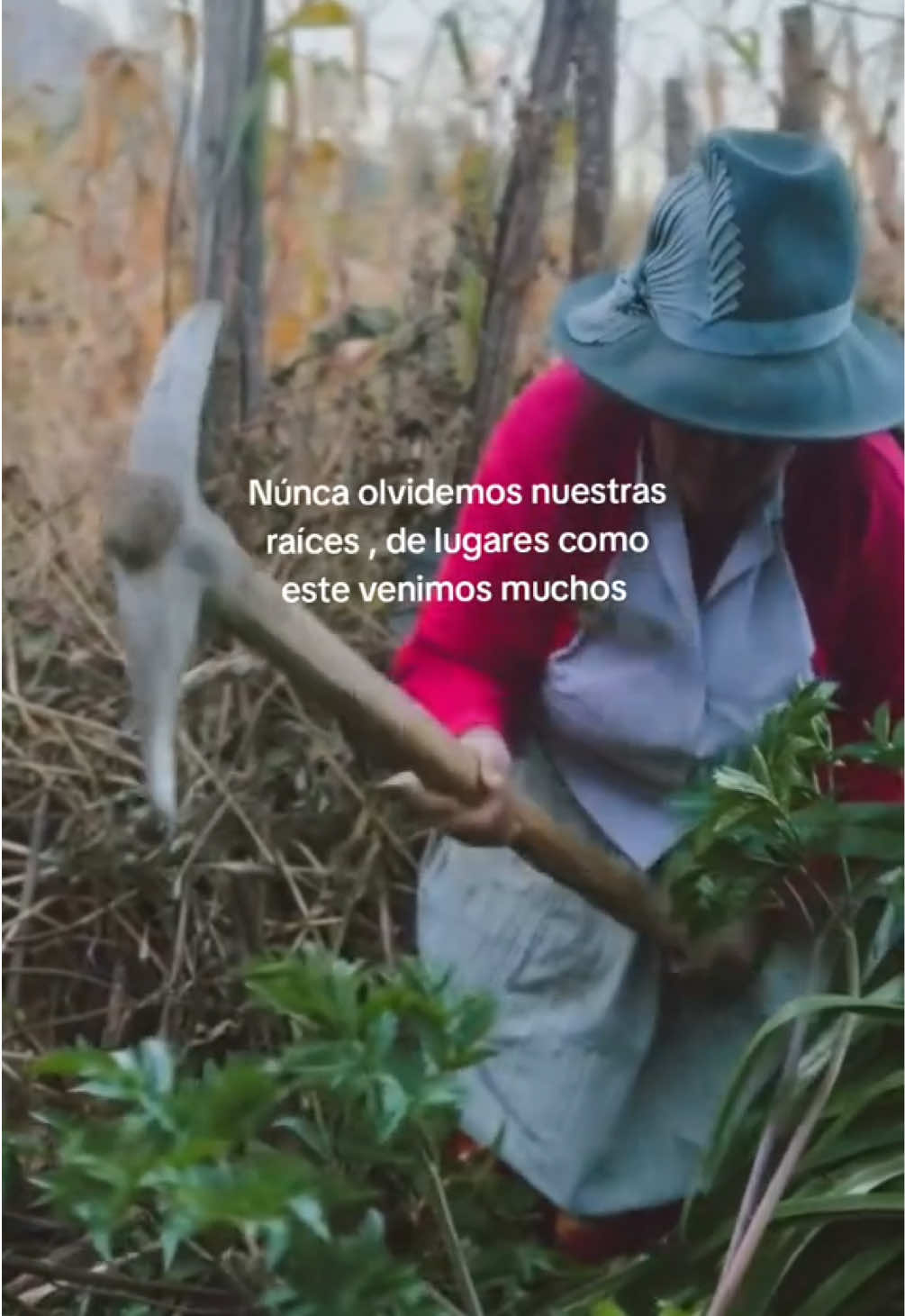 @Purito_Vilcas