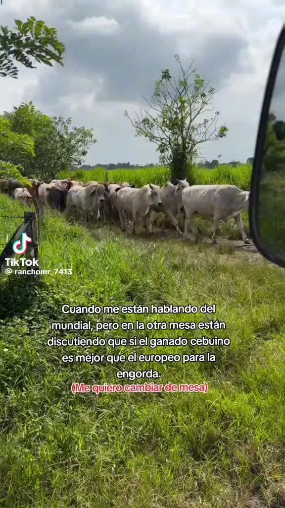@CruzM#11🫵
