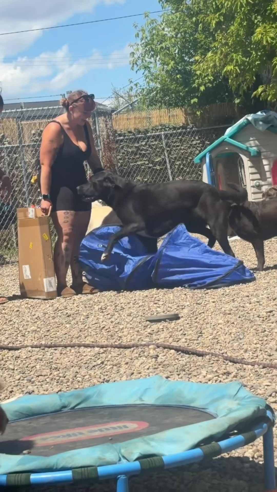 @Squish & Charlie's Dog Daycare