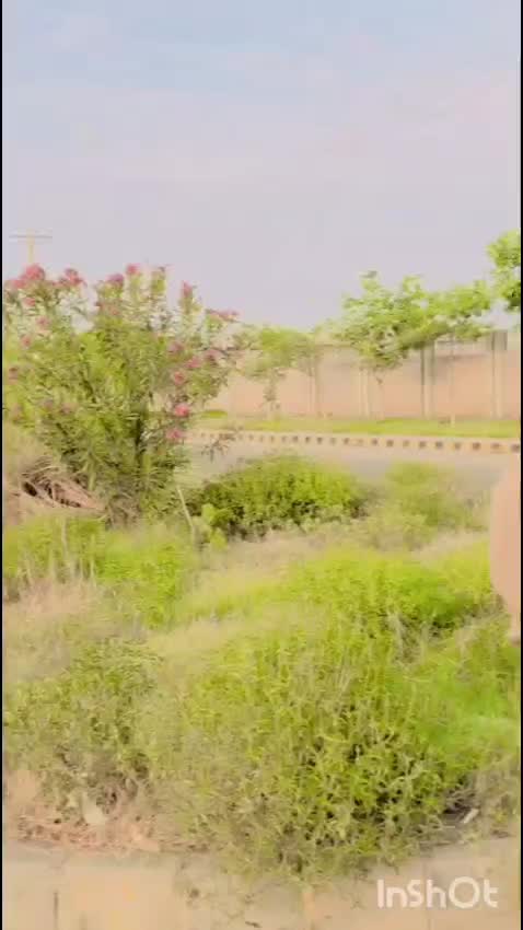 @Sahil Malik