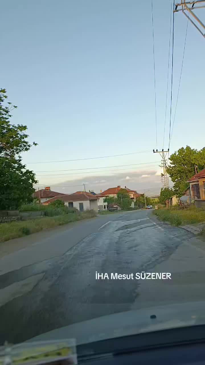 @mesut s&uuml;zener