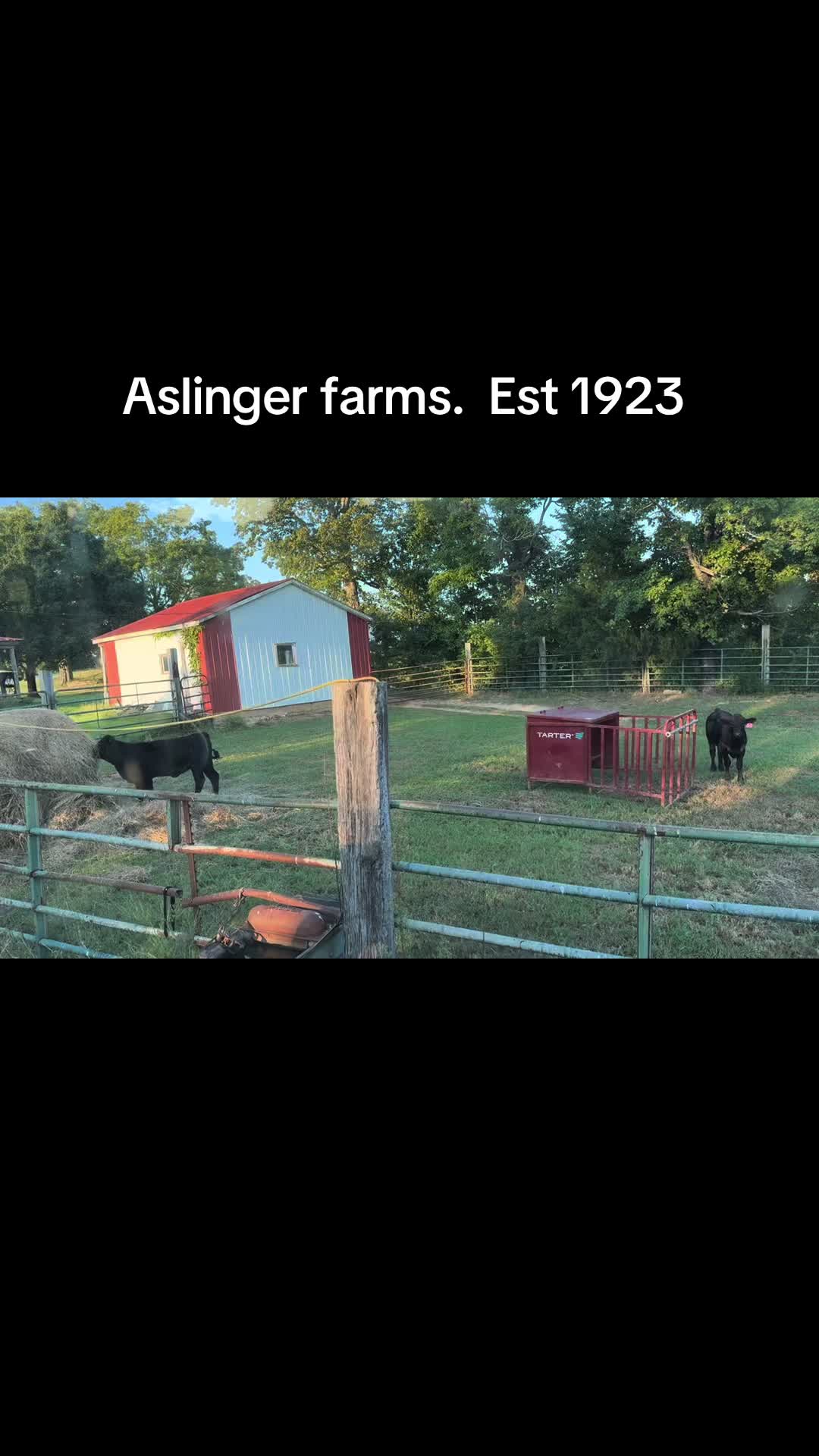 @Terry Aslinger