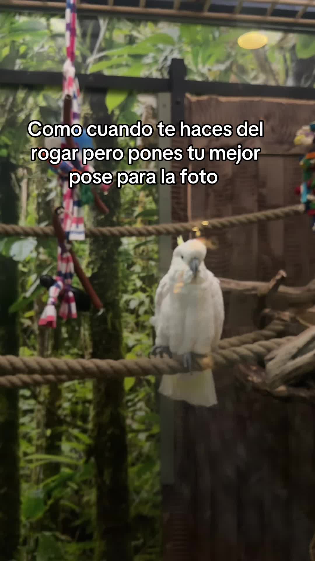 @MARCOS