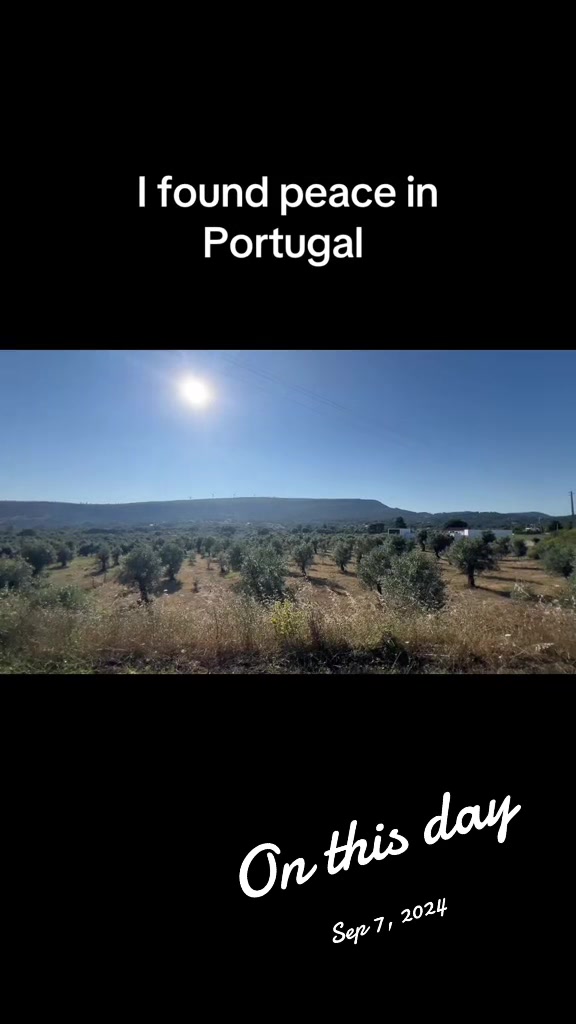 @The Portugueese Plug