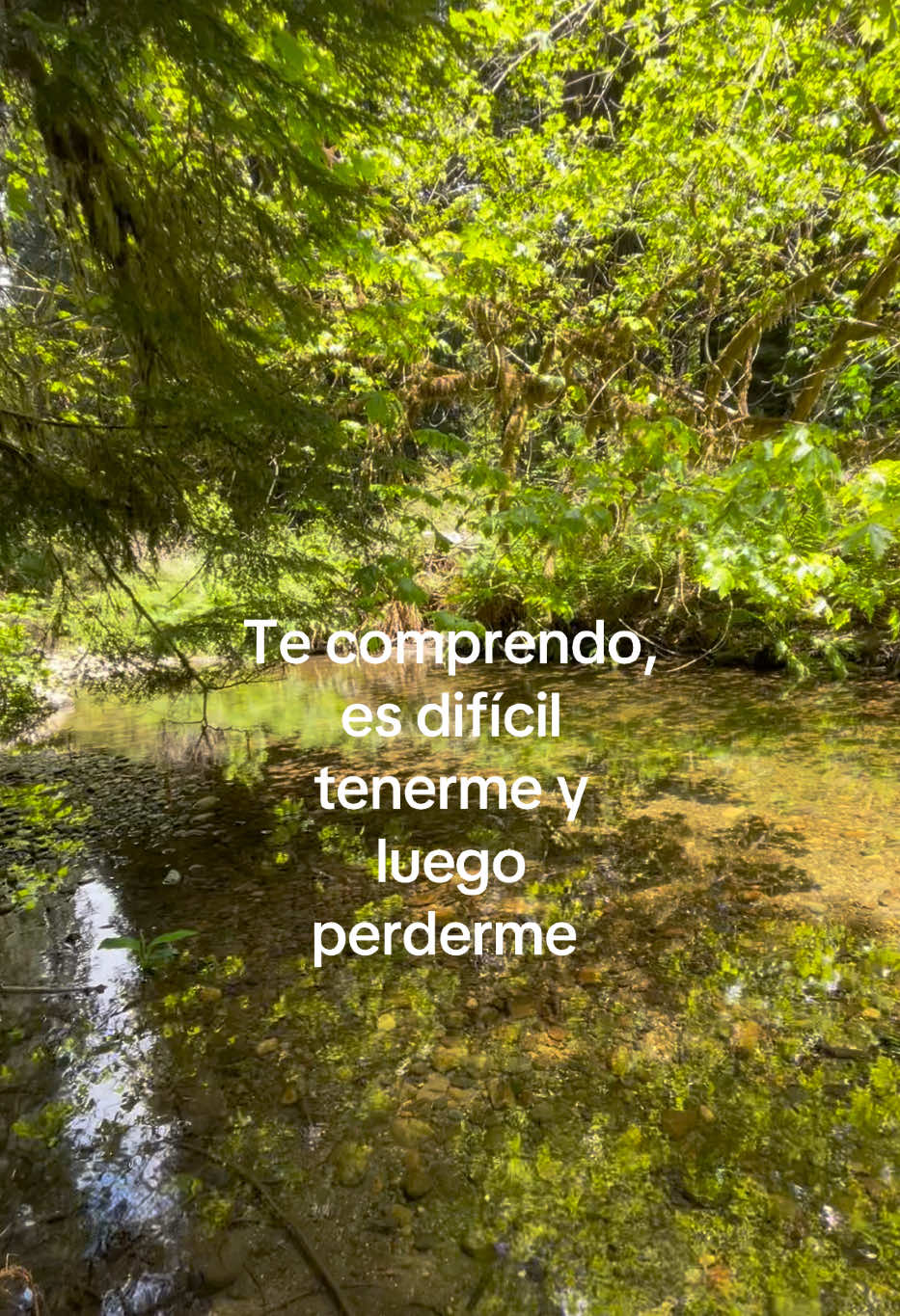 @sinlunaysol