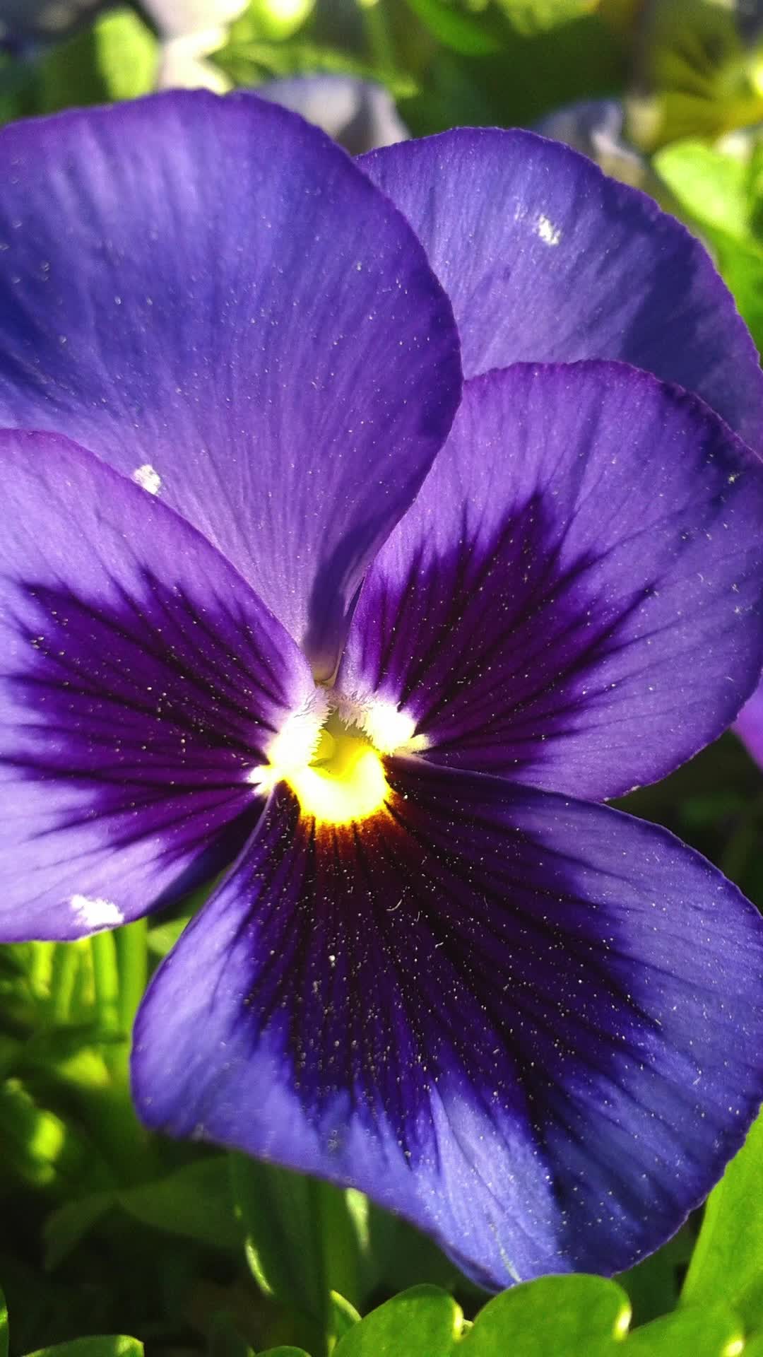 @Kivannie Ng