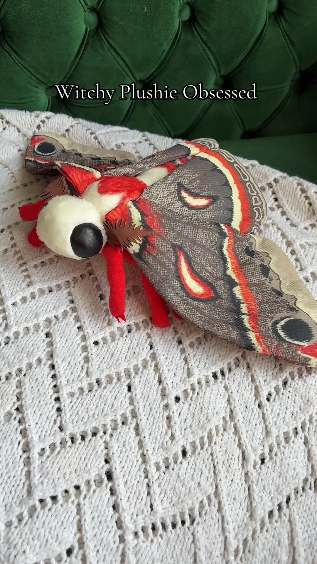 @Metaphysicalfox
