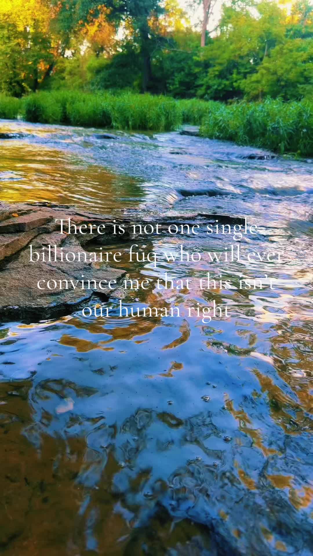 @WolfWomxn