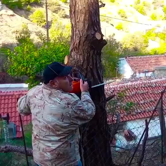@Alex Tree Climber 👷 🇺🇸