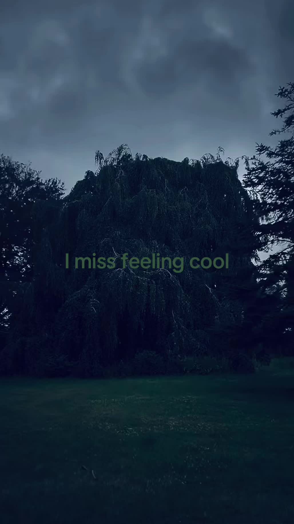 @🧸