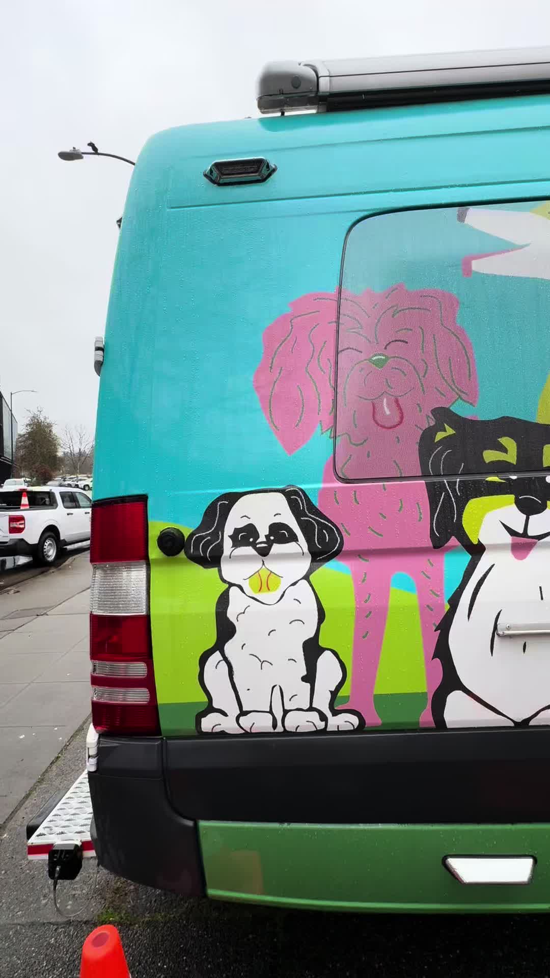 @Seattle Animal Shelter