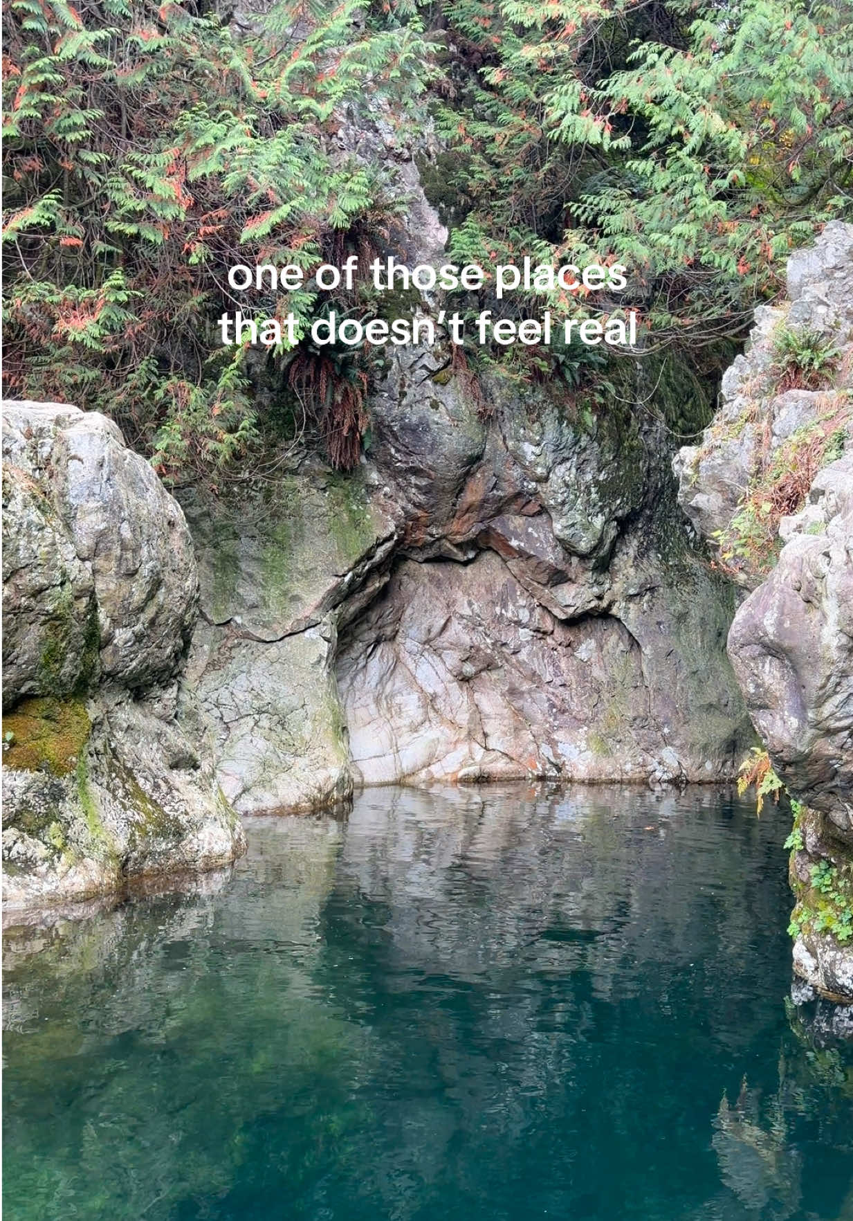 @Mia Dwyer-Kim