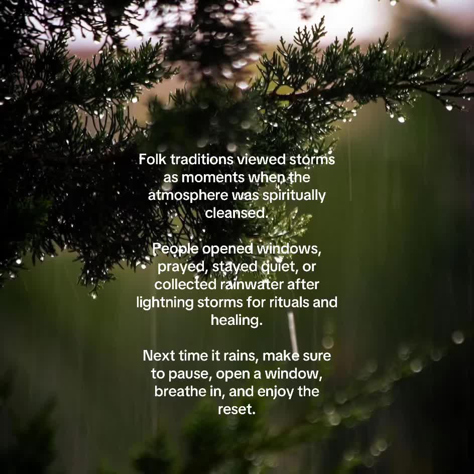 @Jasmin | A Rooted Life