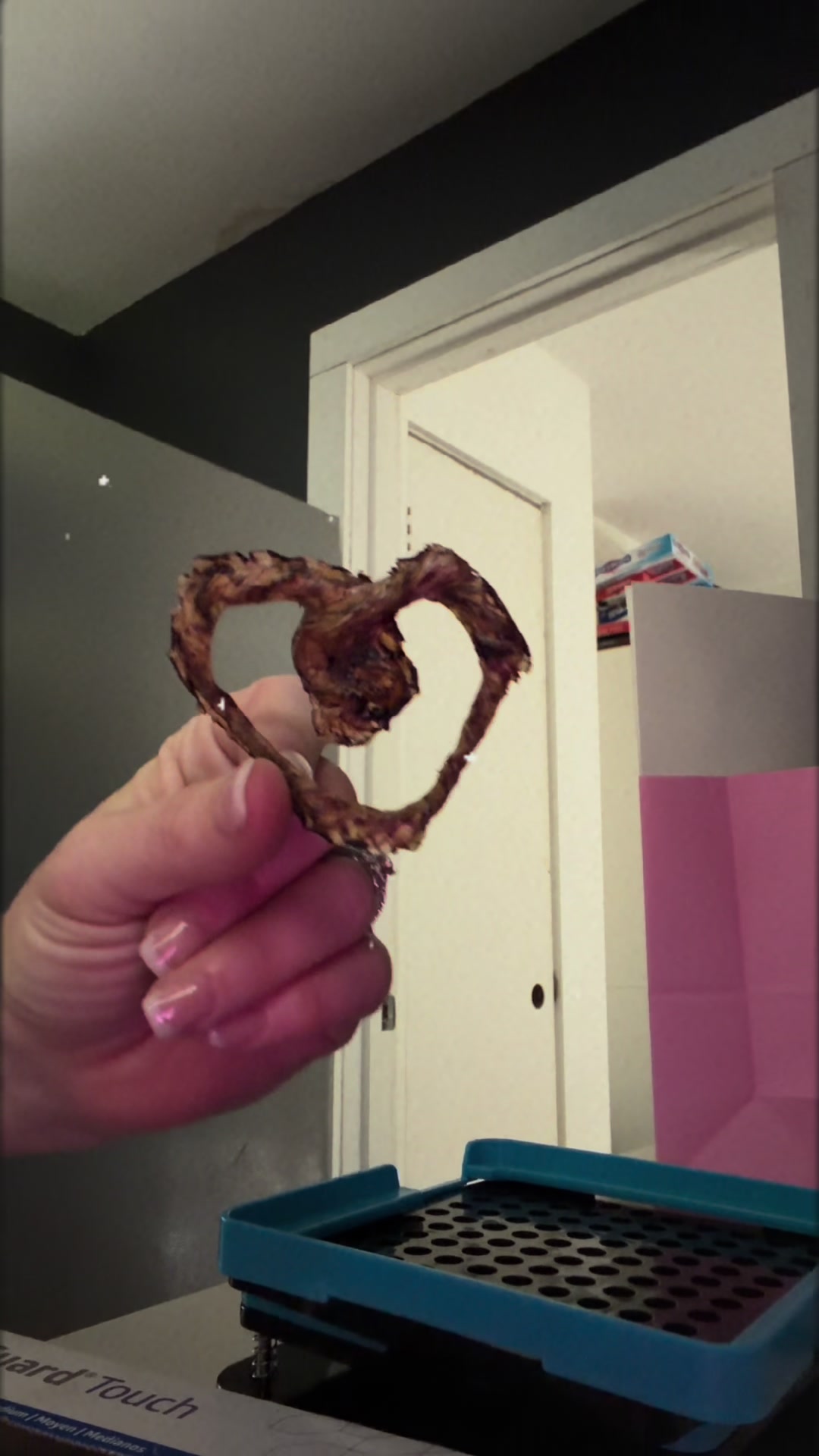 @not.perfecthomemaker