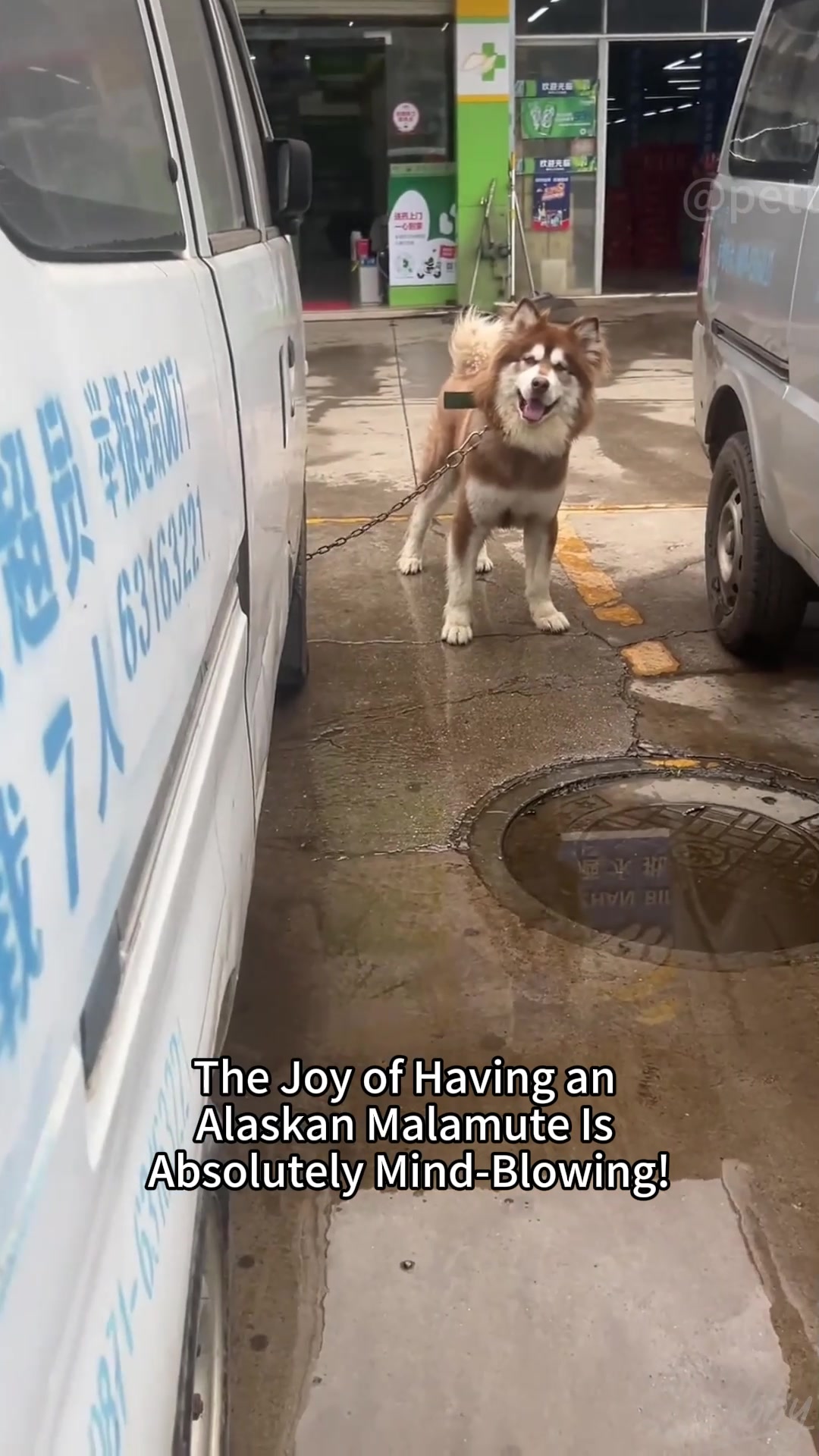 @petpro69