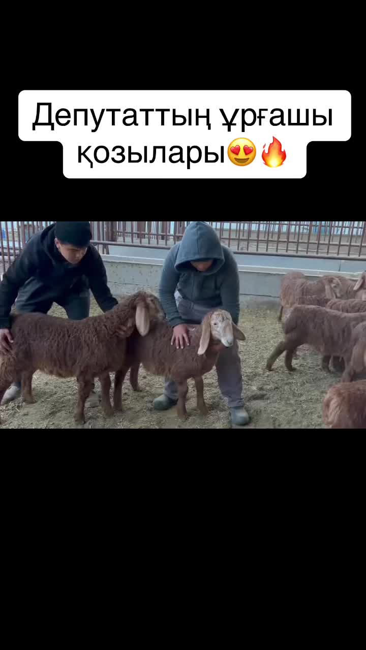 @Kuanysh Myktybaev