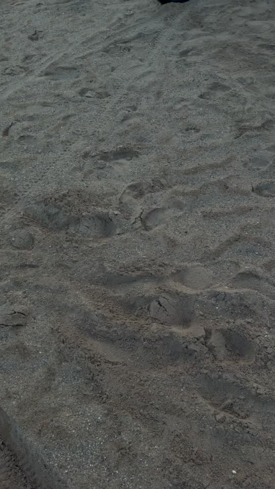 @𝓺20𝓫𝓻𝔂𝓪𝓷