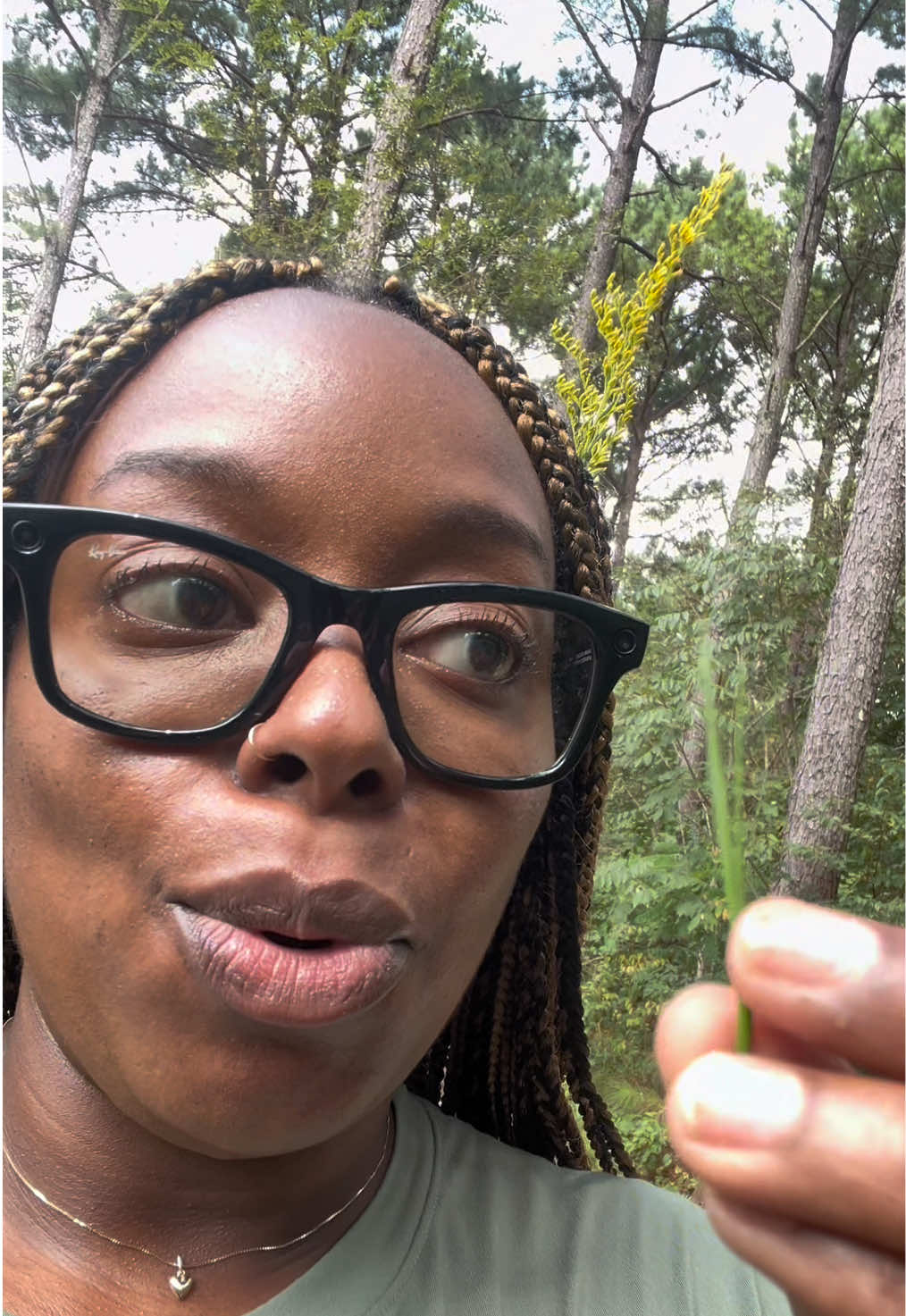 @Essencetheherbalist