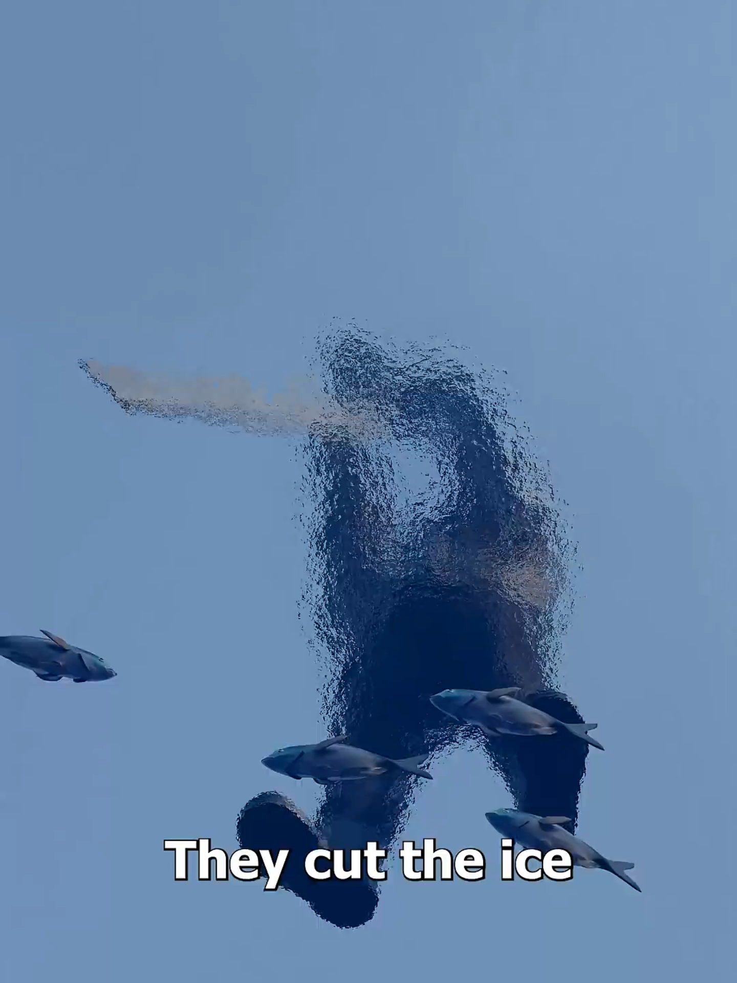 @therepomaster07
