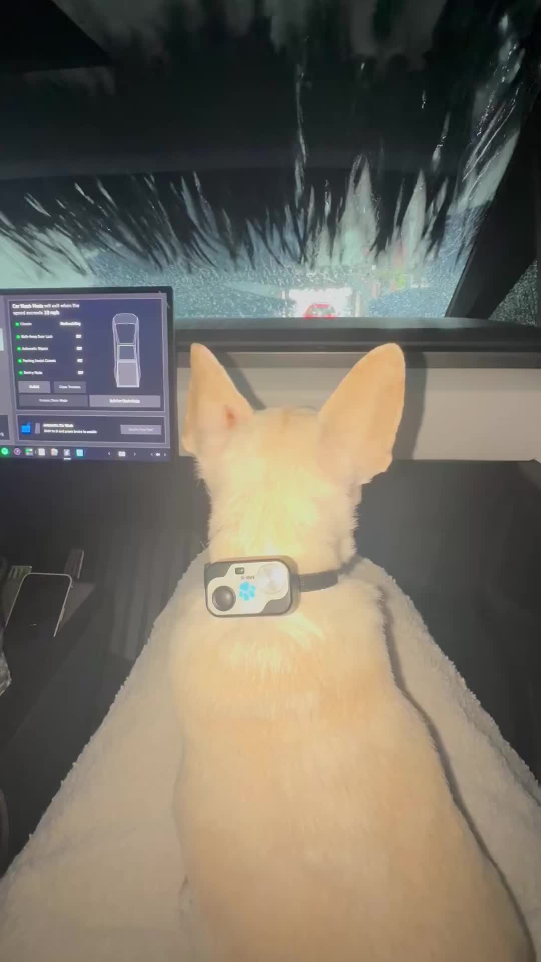 @Maximo Cornelius the Beefy Chi