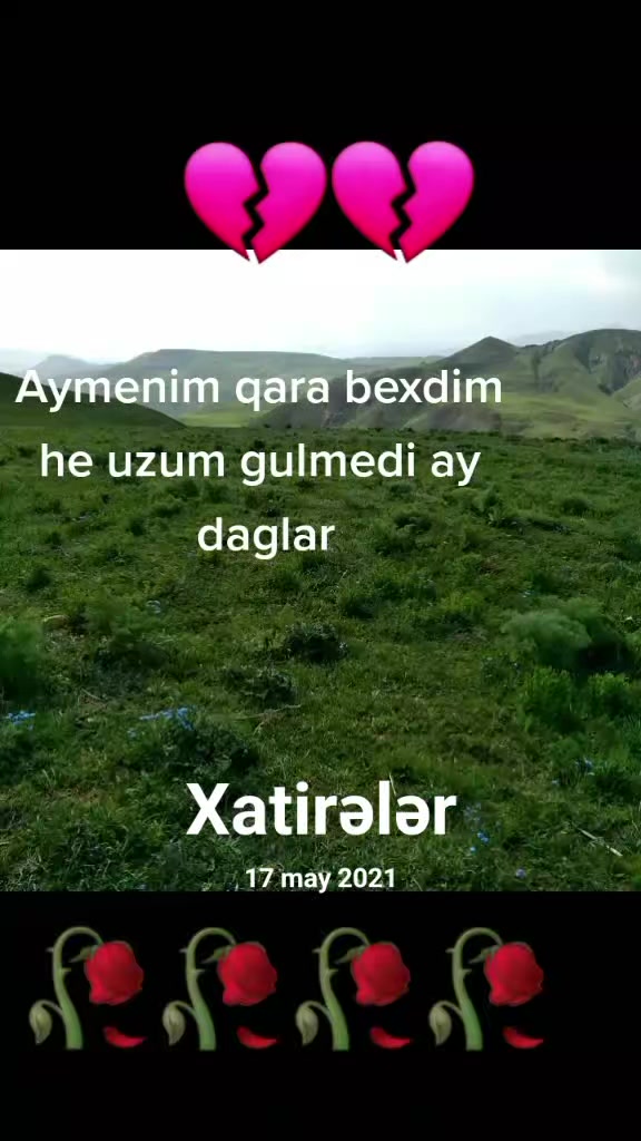 @deyerini bil
