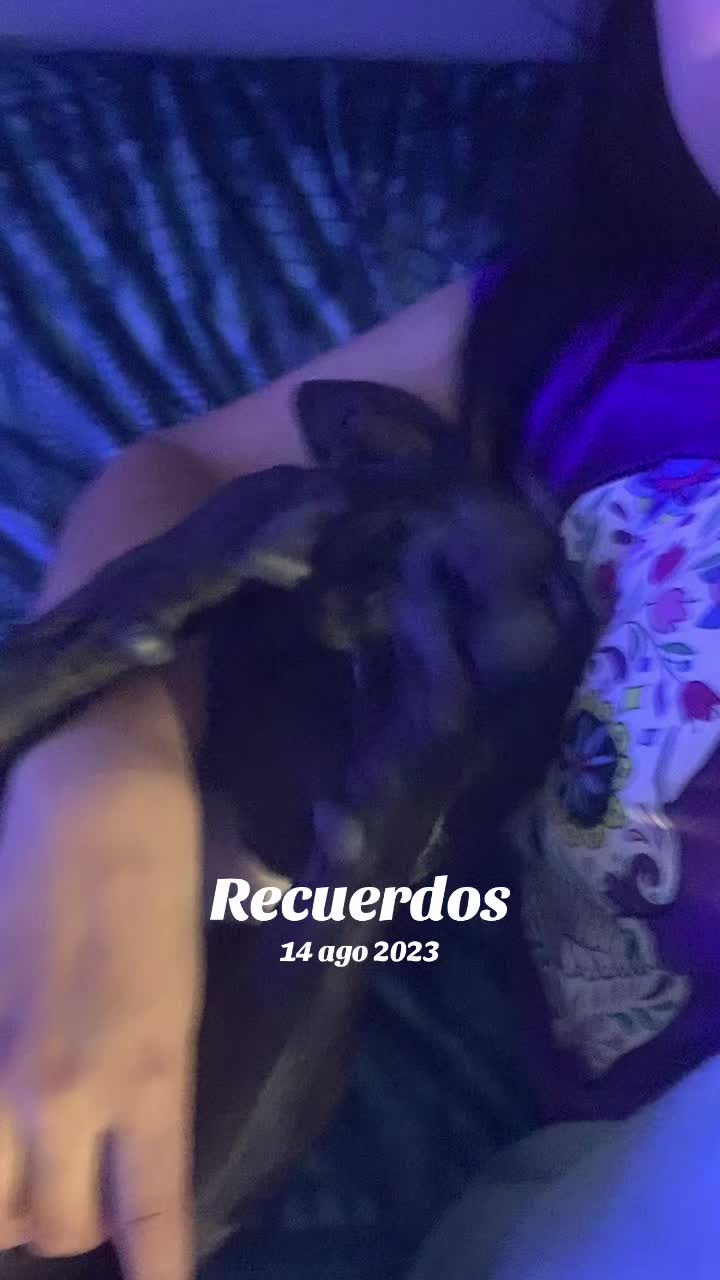 @soydanzoraruaj