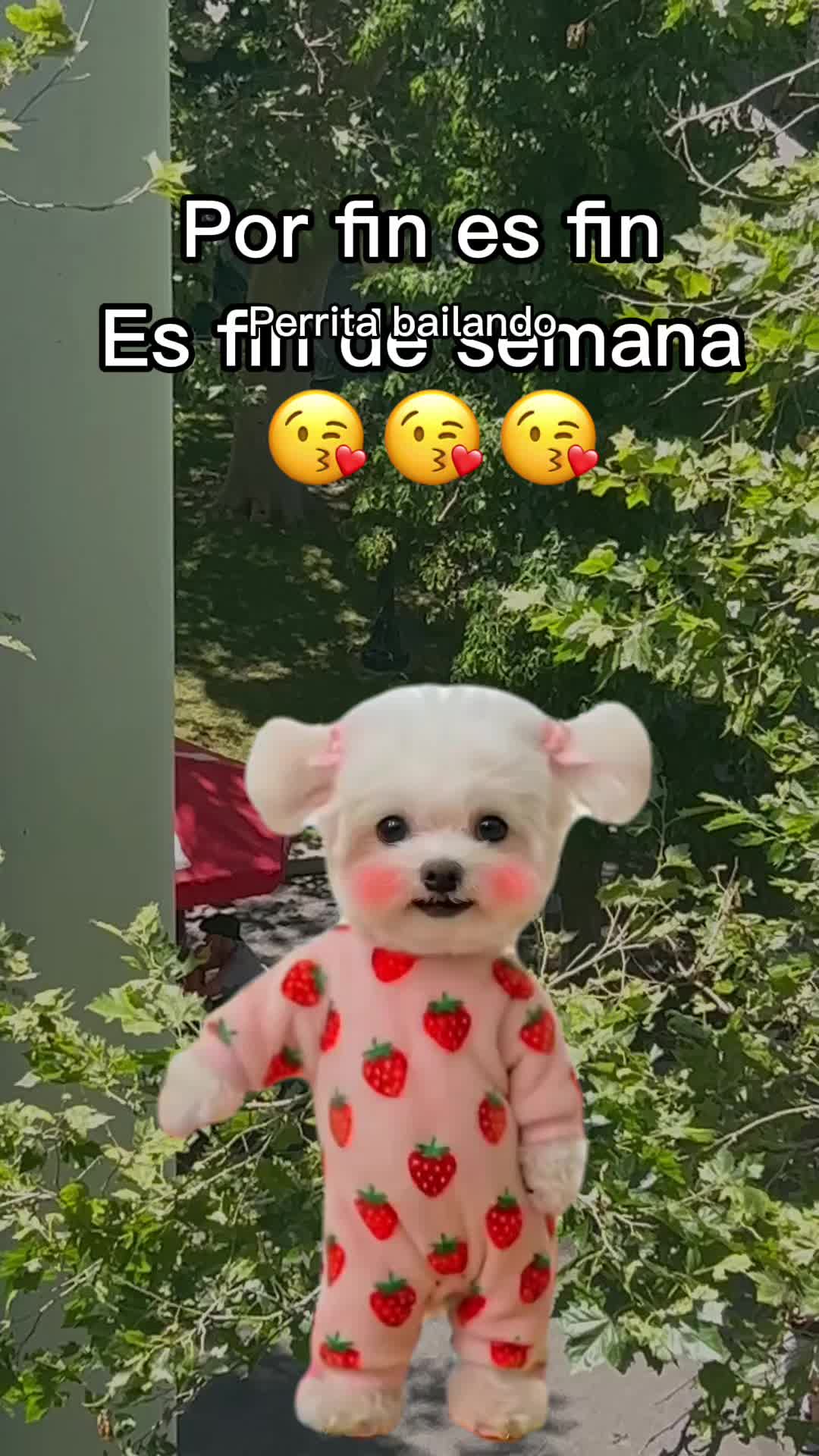 @cecy
