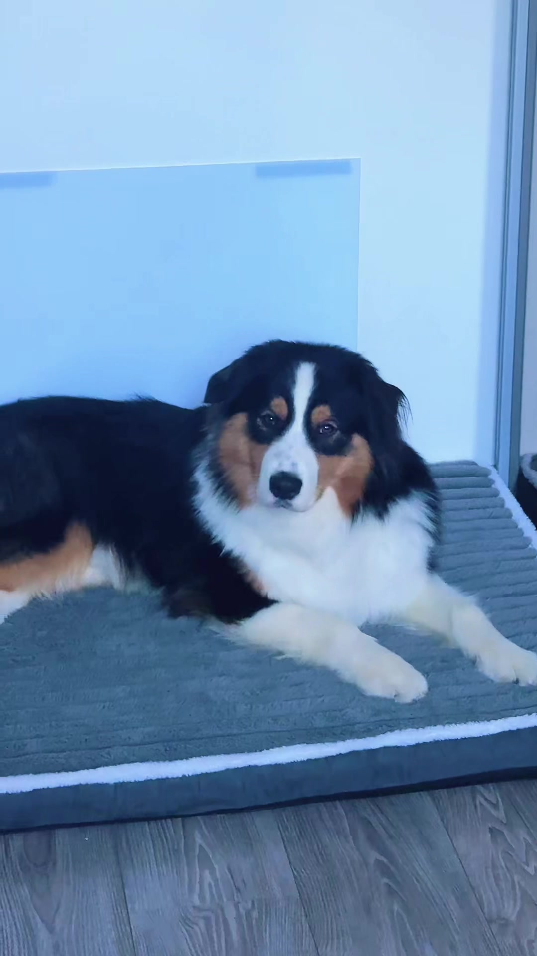 @Rico💕❤️-Vito🥰❤