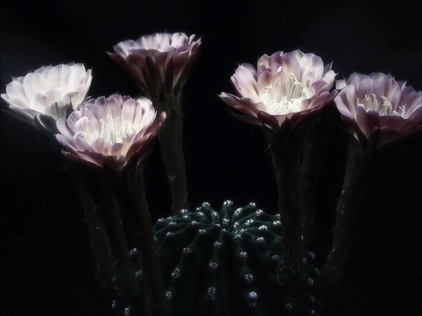@ᶻ 𝗓 𐰁