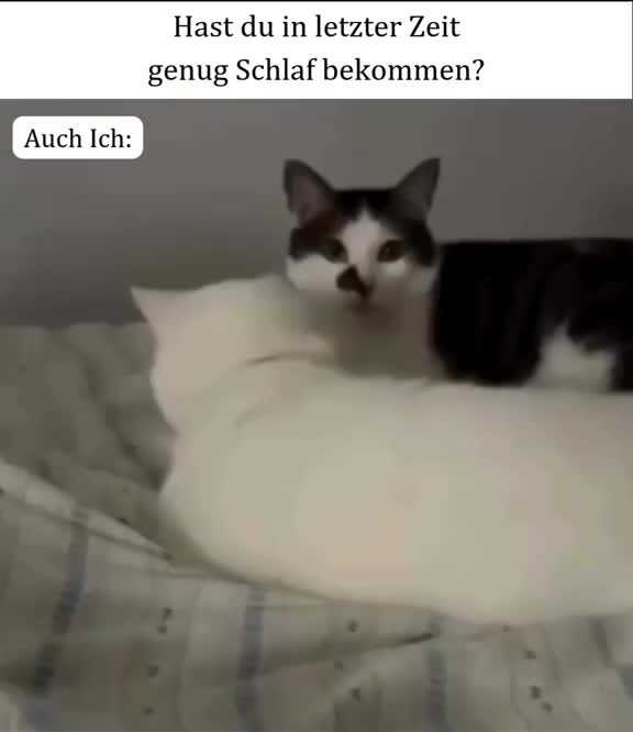 @Jennek