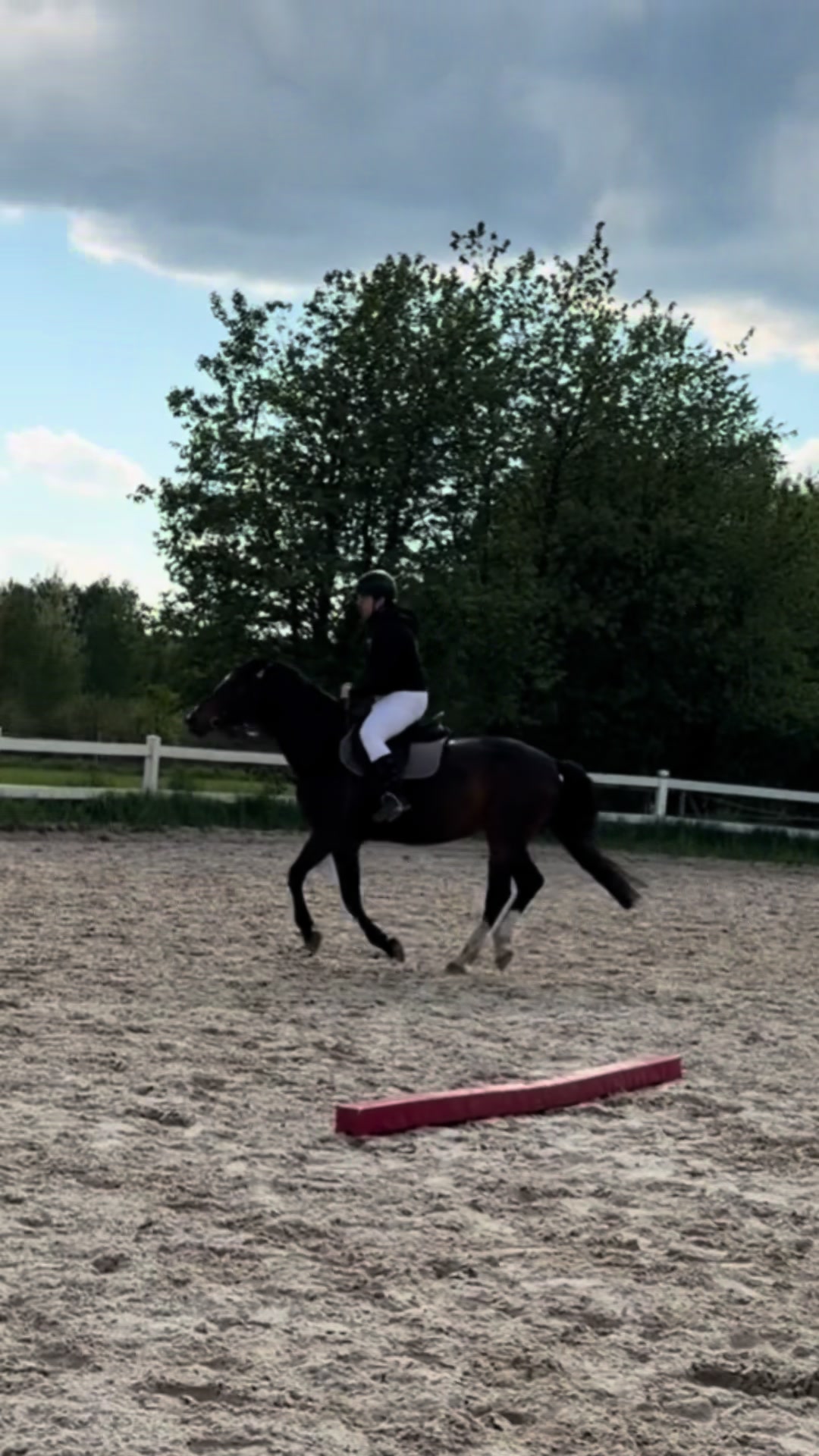 @Acrodance_horses
