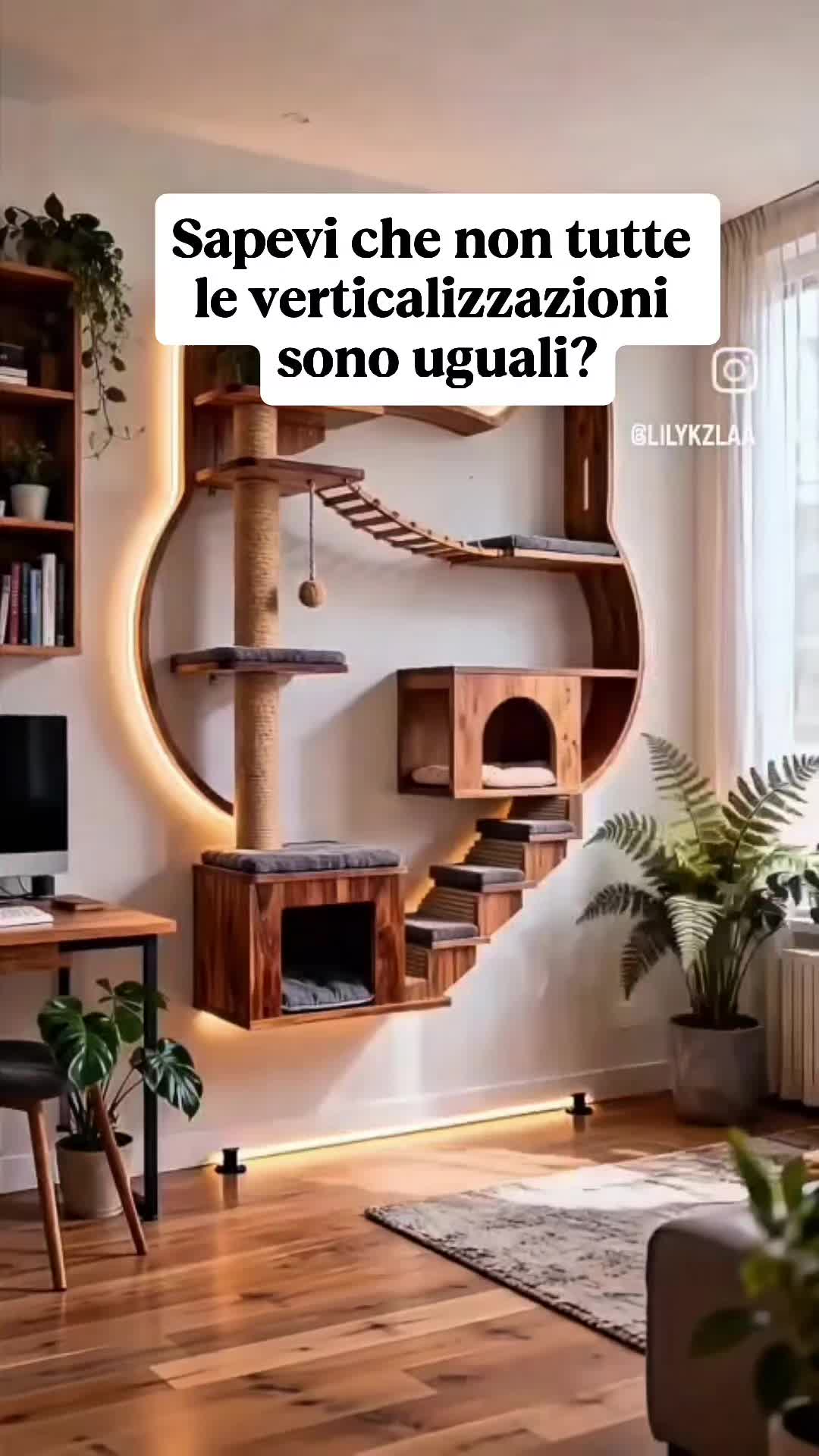 @Dr.ssa Sandra Viana