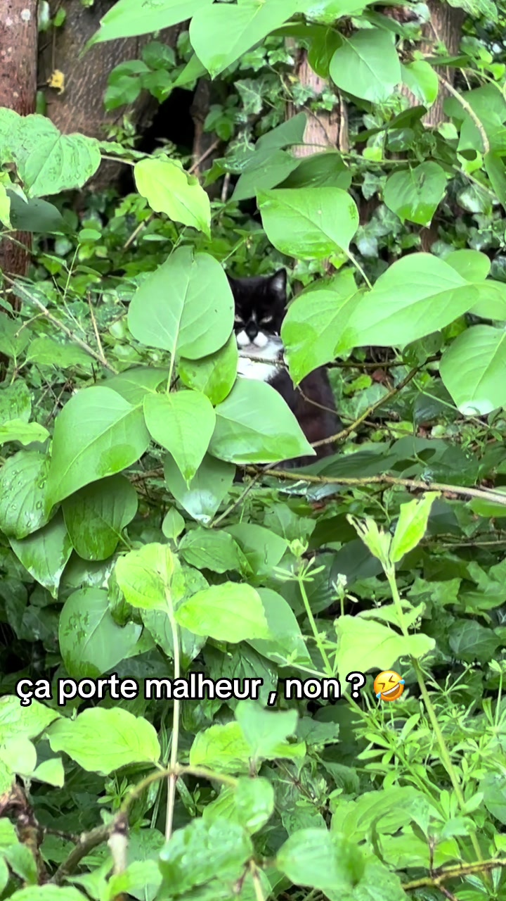 @Sea_Reine_seine_et_sereine