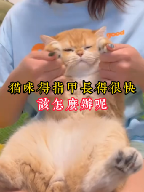 @catology