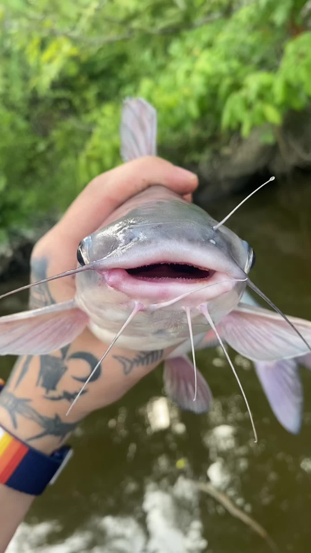 @⠀ ⠀