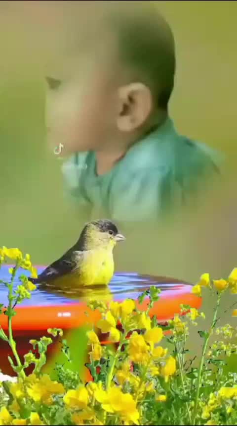 @jani oy