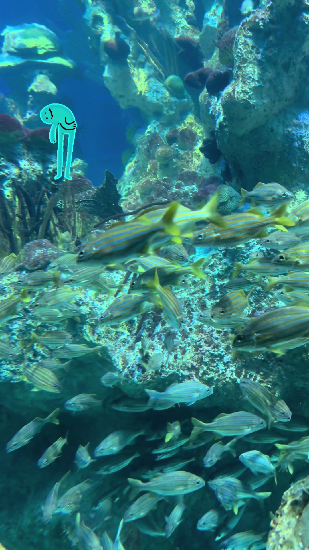 @addie!! 🍌🧘♀️🤙🏽