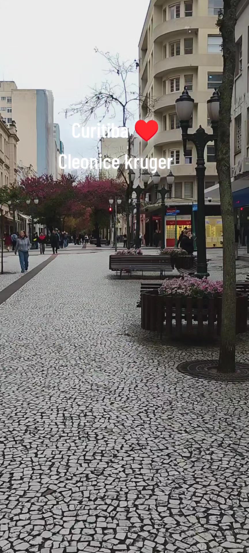 @Cleonice Kruger