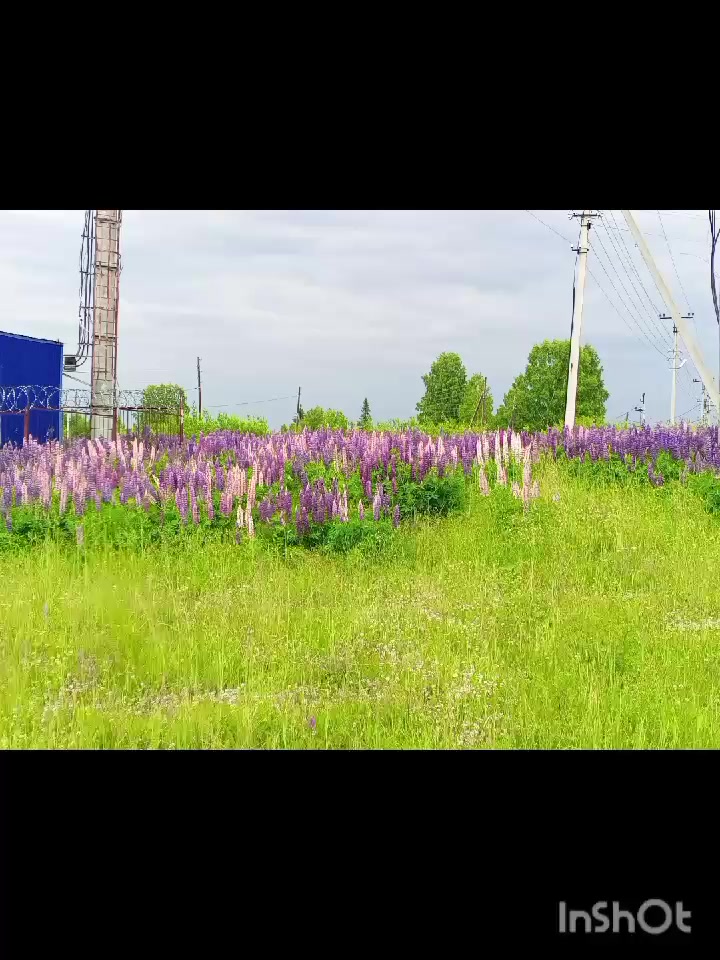 @🎀💜Гульнарик♒ТэVодолей💜🎀