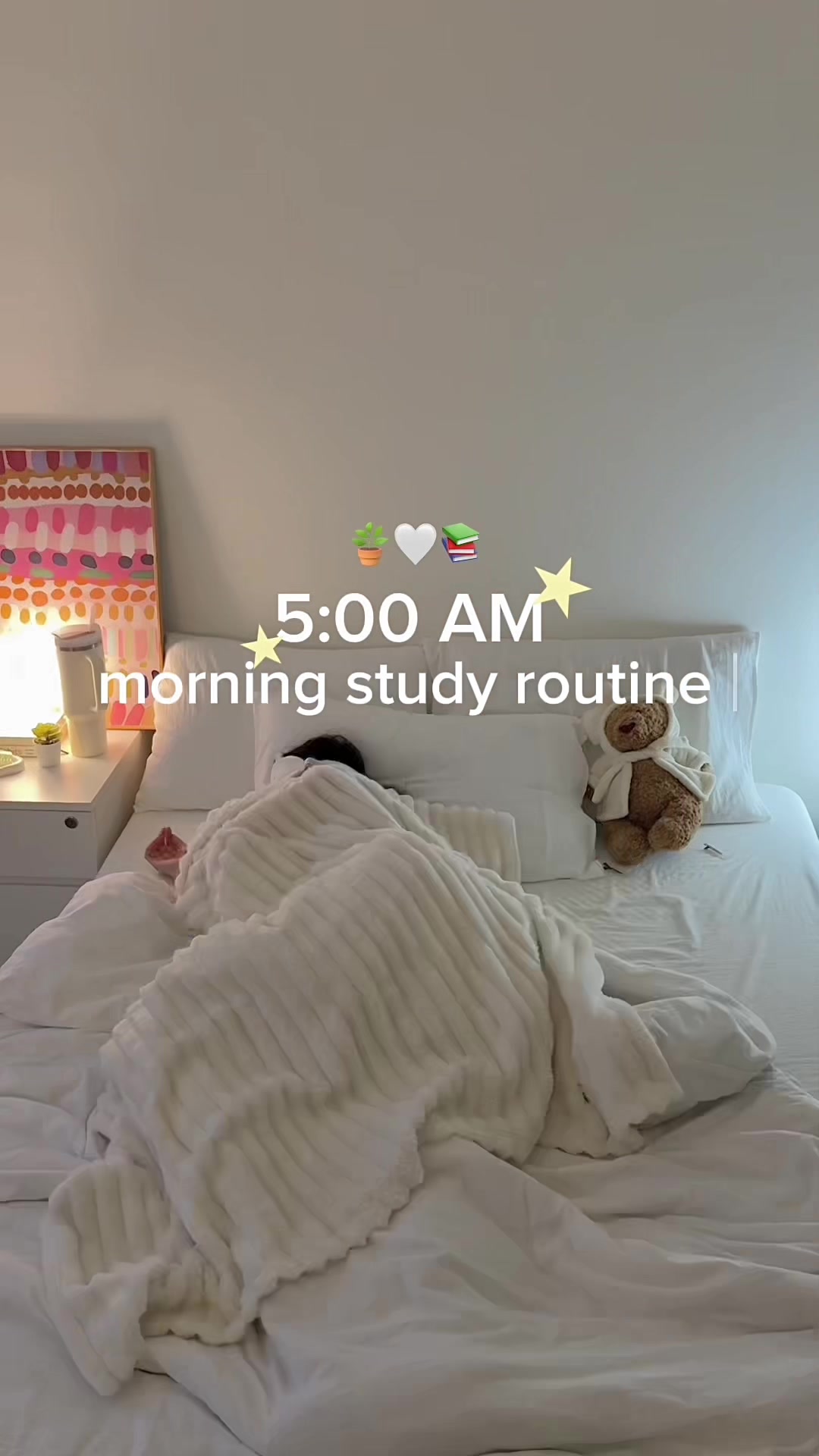 @Alice | study & tech 🧸