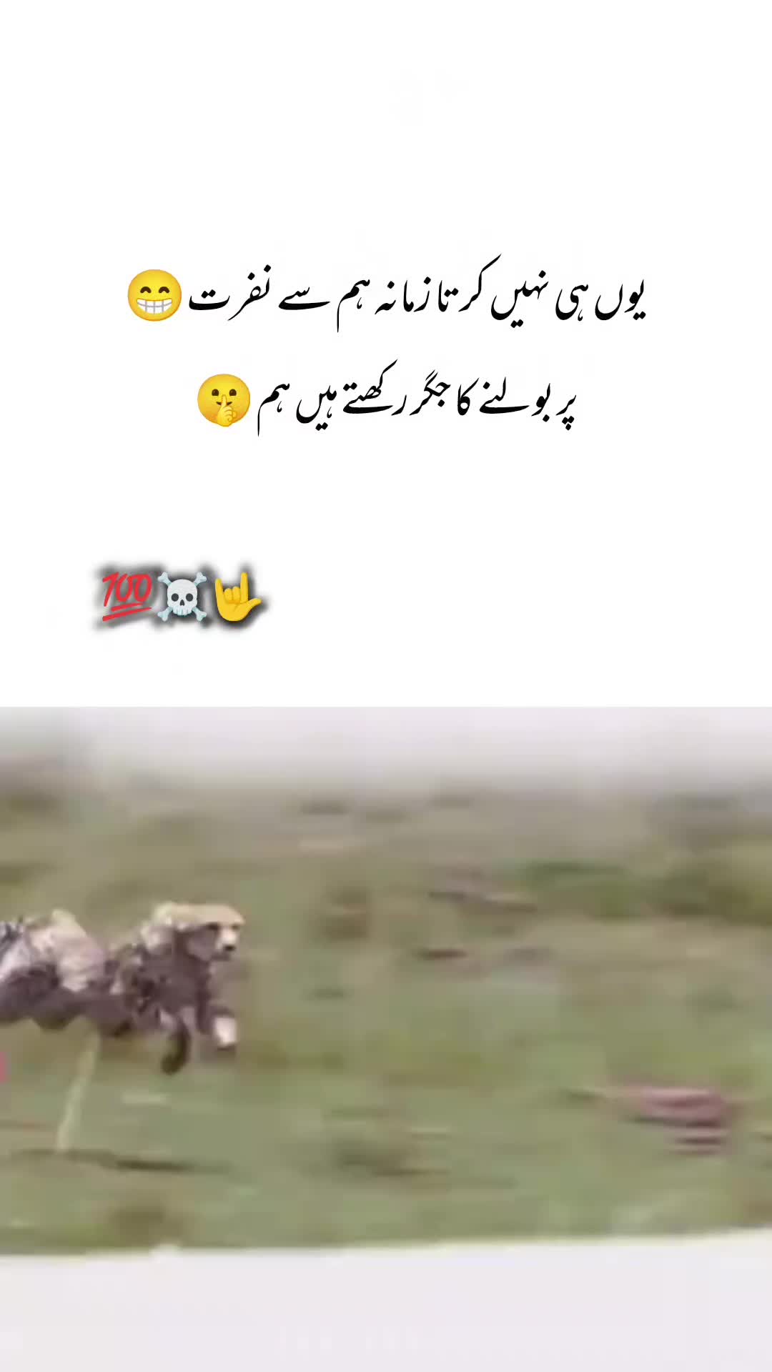 @𝙂𝙝𝙖𝙢 𝙀 𝘼𝙨𝙝𝙞𝙦
