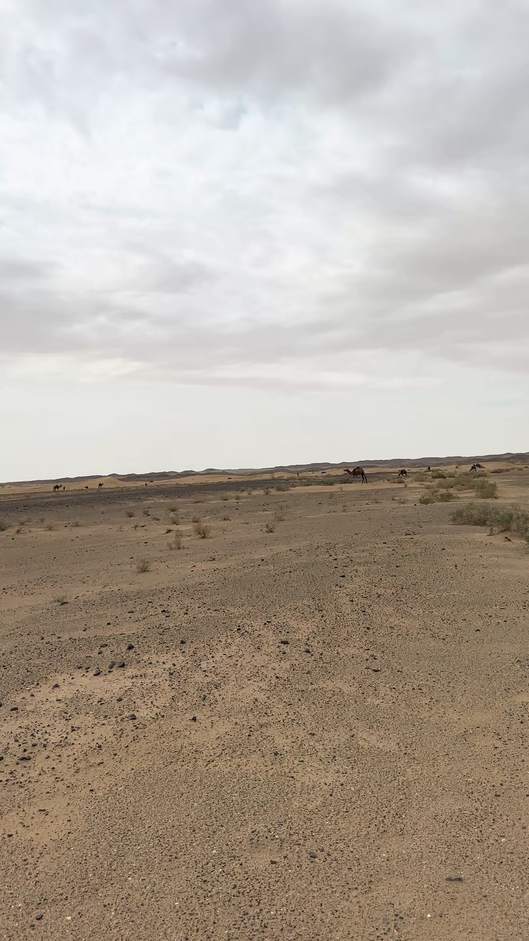 @بلوچستان عشق است 🐪🏜️🪶
