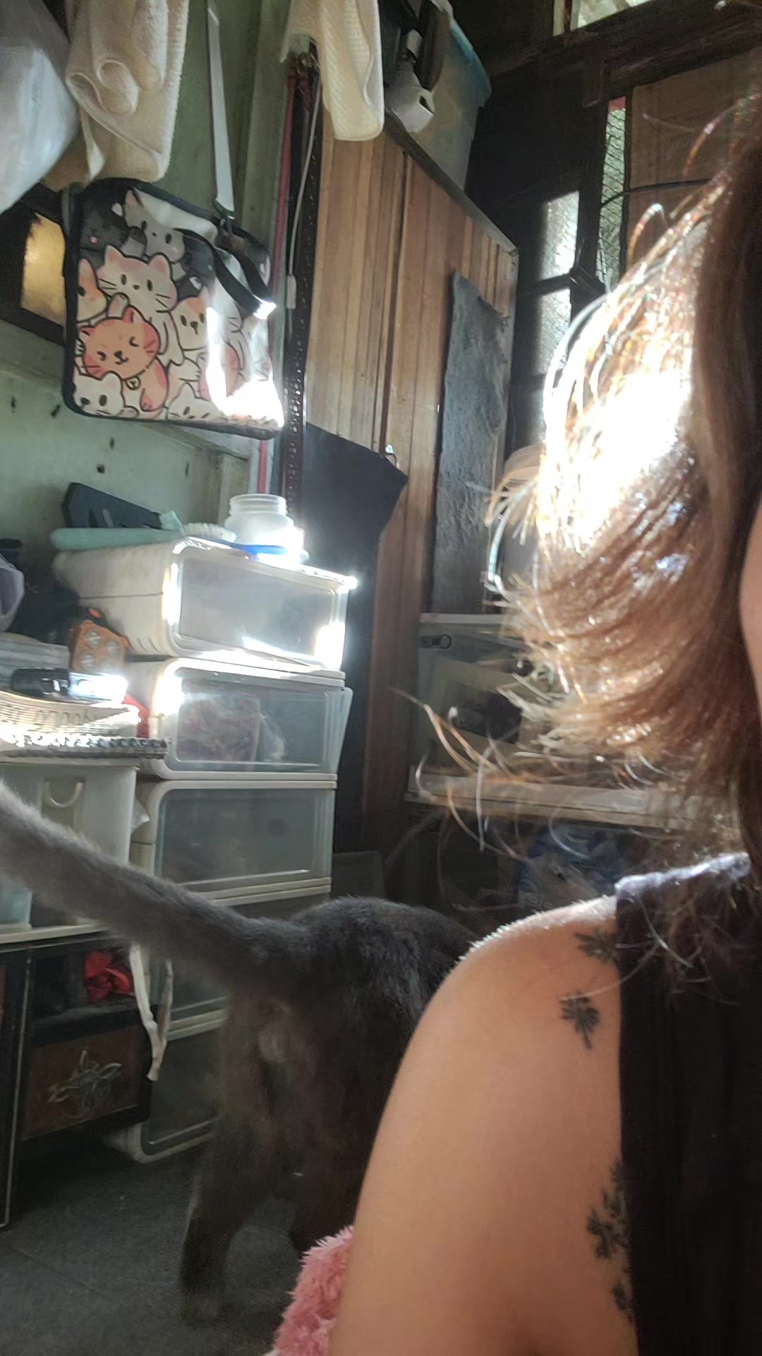 @CrazyCatMe