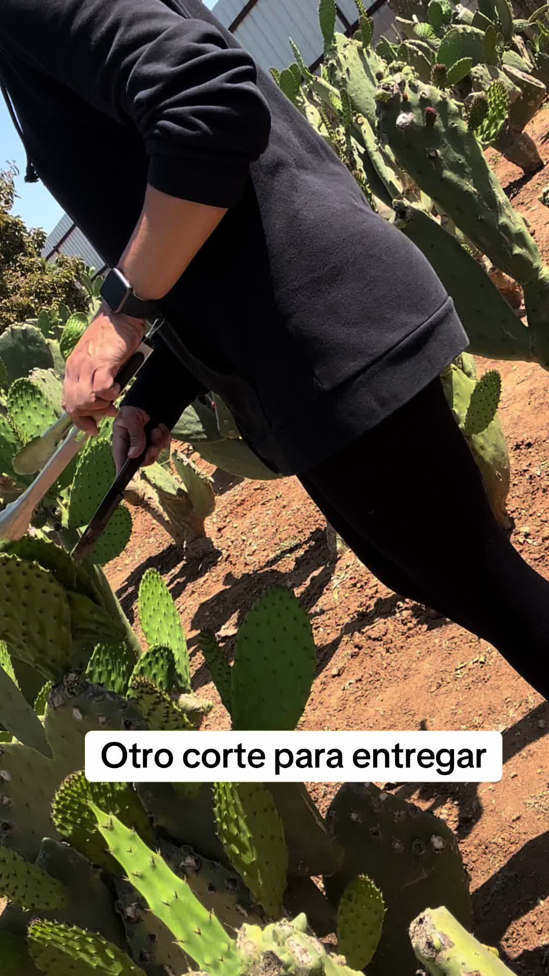 @Adriana Castellanos
