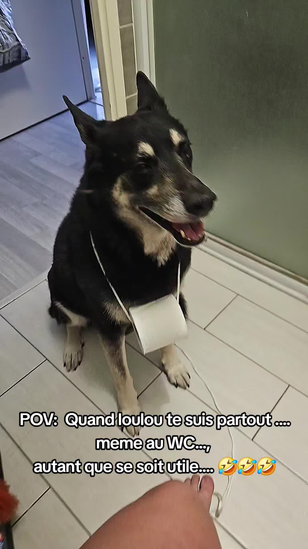@laura mom and dogmom